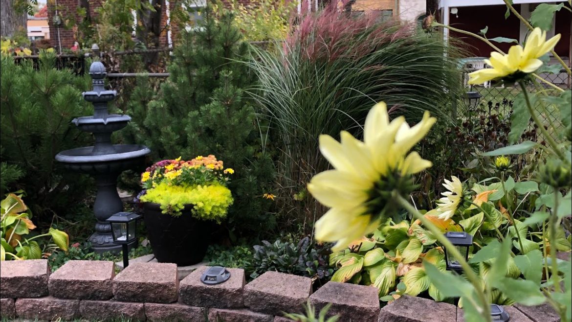 October Garden Tour | Fall Garden Tour 2022 | KellyNo Garden