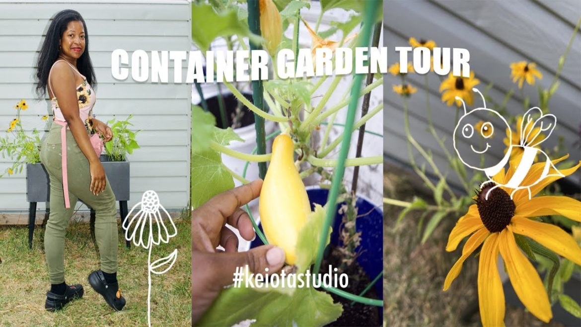 π
2022 Vegetable and Fruit Container Garden Tour π« π
2022 Vegetable and Fruit Container Garden Tour π«
