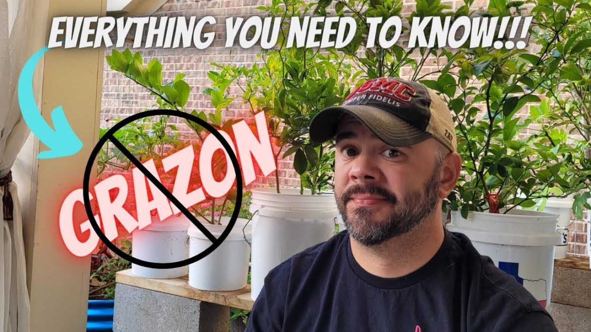 Grazon 101, A True Garden Killer || Down-Home Backyard Gardening