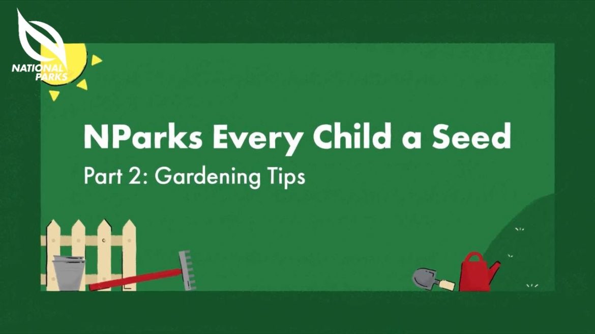 Gardening Tips | Every Child a Seed Programme Gardening Tips | Every Child a Seed Programme