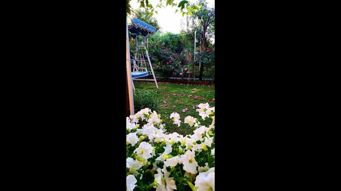 Most Beautiful Garden