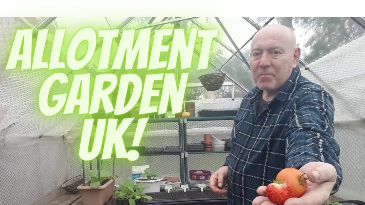 Allotment Gardening UK [Grow Vegetables At Home ]