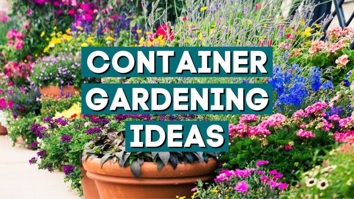 20+ Stylish Ideas to Plant Your Summer Container Gardens ✨ 20+ Stylish Ideas to Plant Your Summer Container Gardens ✨