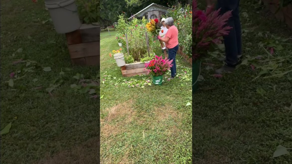 I love cutting gardens clean. ☺️ I love cutting gardens clean. ☺️