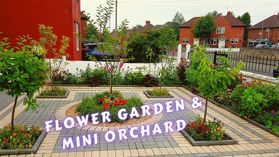 Front Formal yard/garden with cottage flowers cum mini orchard tour July 2021 UK Small summer garden