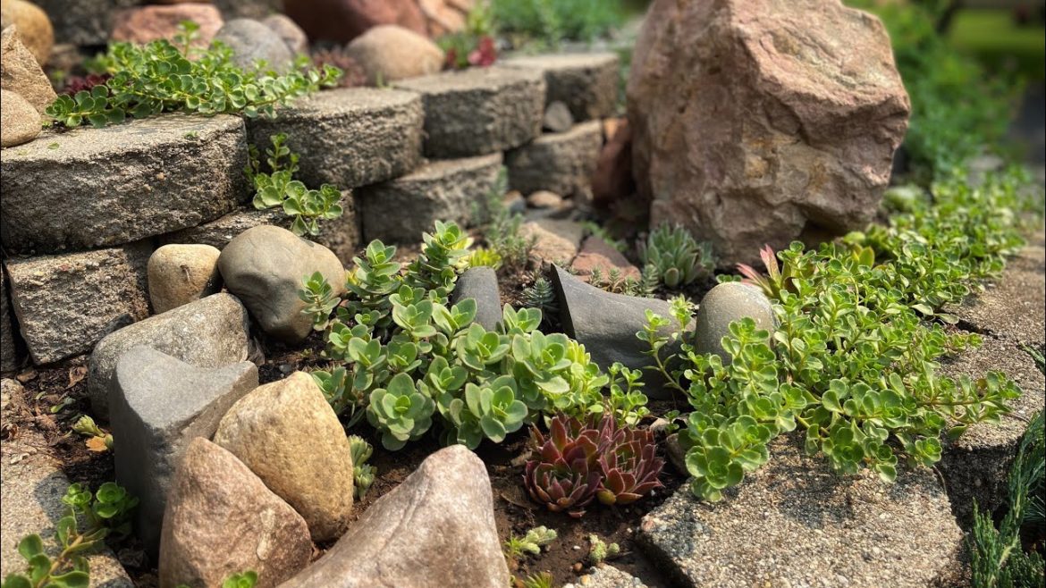 Peace Rock-Japanese garden in Minnesota