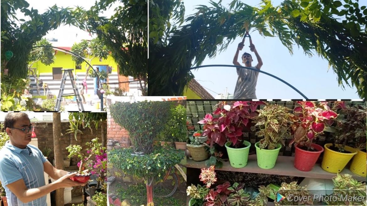 gardening Ideas | beautiful designed | greenbharat | how to | davoration hacks |