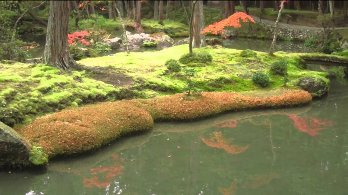 Japanese Gardens - Beautiful Moss Gardens - Gorgeous Gardens - Gardens