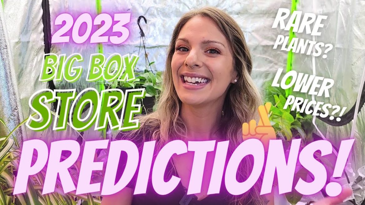 2023 Big Box Store Plant Predictions | Rare Plants and Lowering Prices?! 🤞