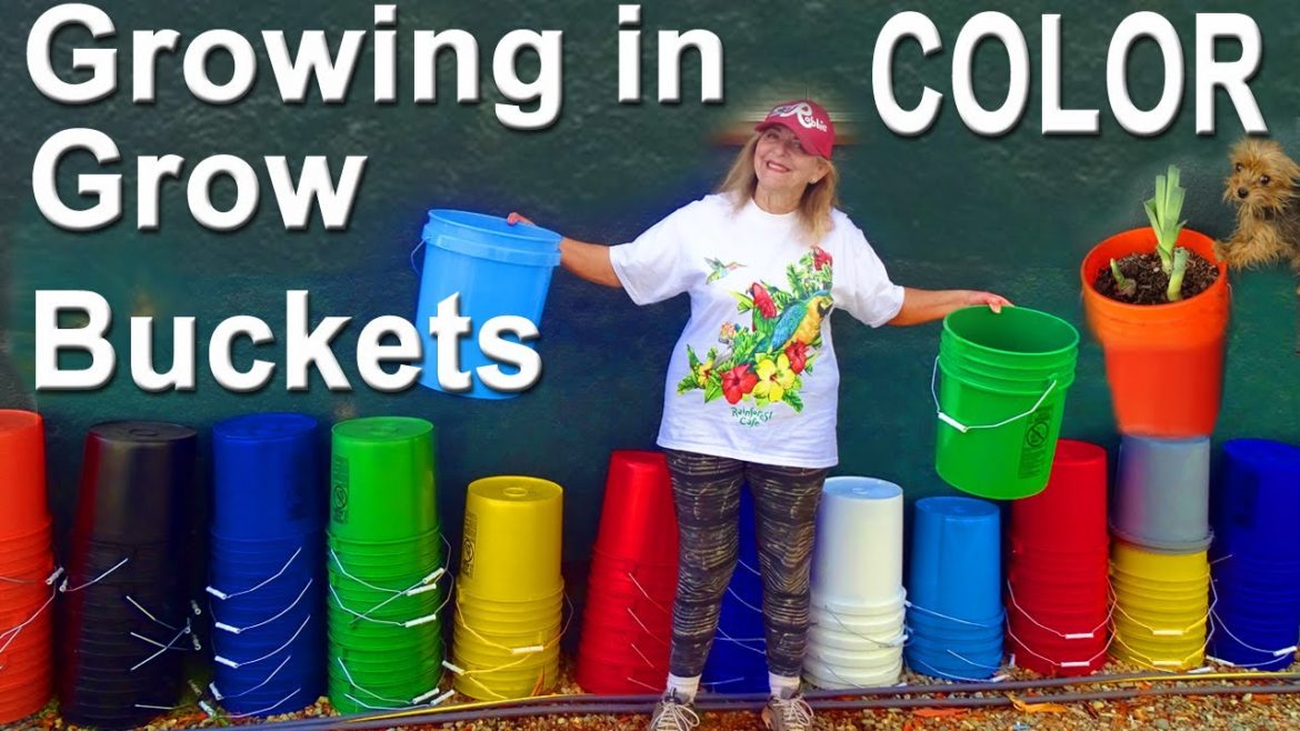 EASY Container Gardening Grow Vegetables in Raised Bed & Less Space & Move with the SUN To Grow FOOD