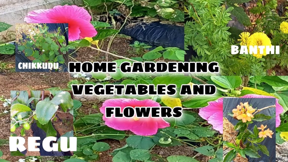 OUR HOME GARDEN TOUR || GARDENING TECHNIQUES AND GARDENING TIPS AT HOME | HOW TO DEVELOP GOOD GARDEN