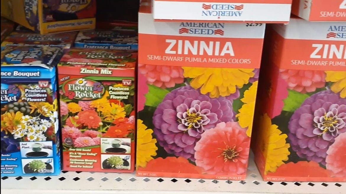 DOLLAR TREE Garden Supplies March 2020 (Dollar Tree Seeds) DOLLAR TREE Garden Supplies March 2020 (Dollar Tree Seeds)