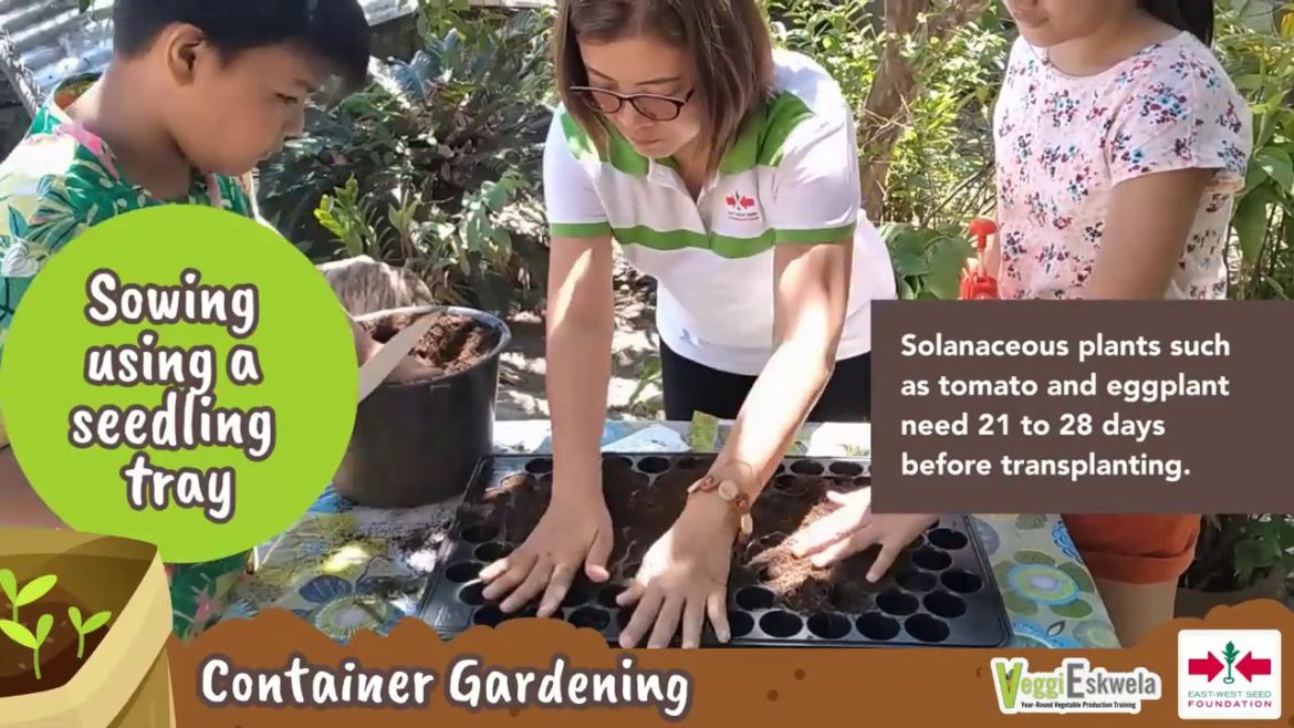 🇵🇭 How to Start in Container Gardening
