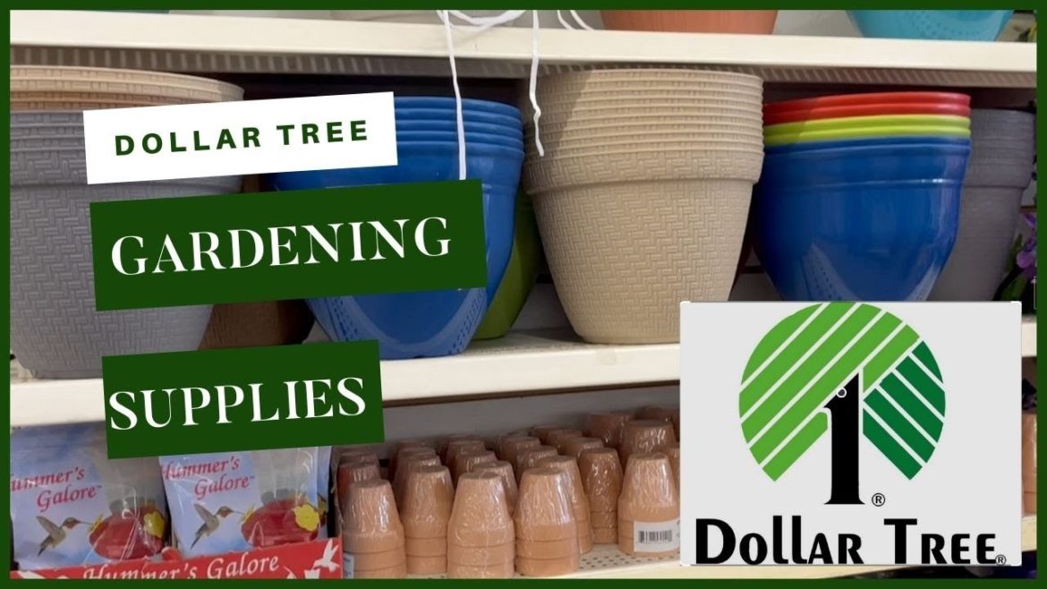Dollar Tree Garden Supplies Are Now Available| Dollar Tree Planters Dollar Tree Garden Supplies Are Now Available| Dollar Tree Planters