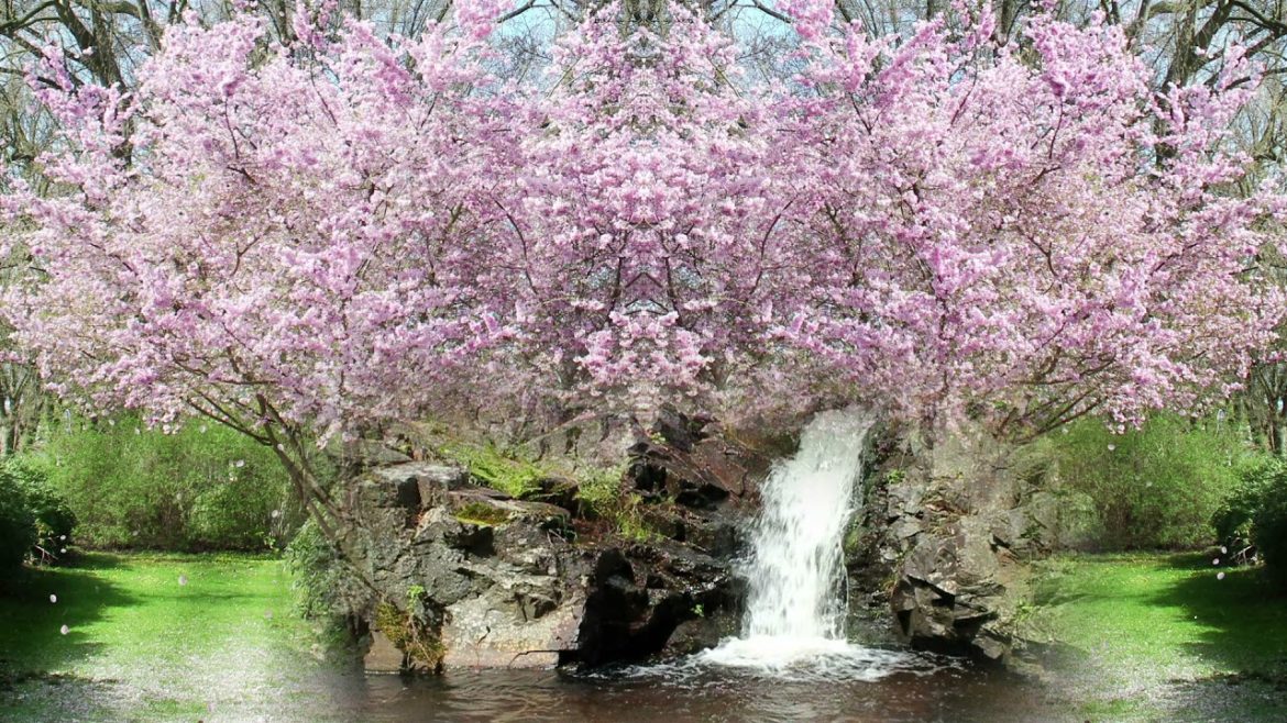 Japanese Zen Garden Music [Shakuhachi flute] Rodrigo Rodriguez