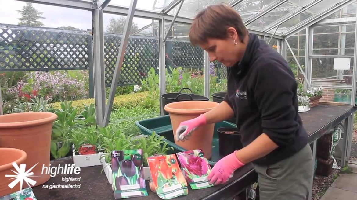 Inverness Botanic Gardens - Spring Gardening Tips