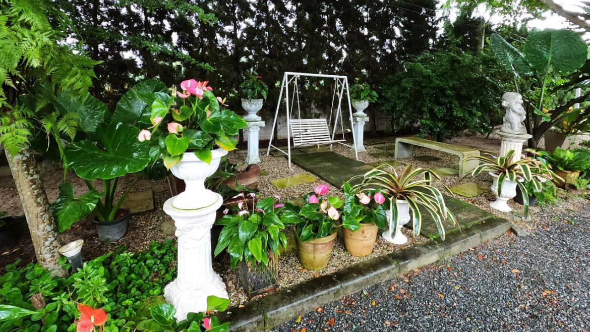 Rainy Day in Our Garden ,Garden Design Ideas