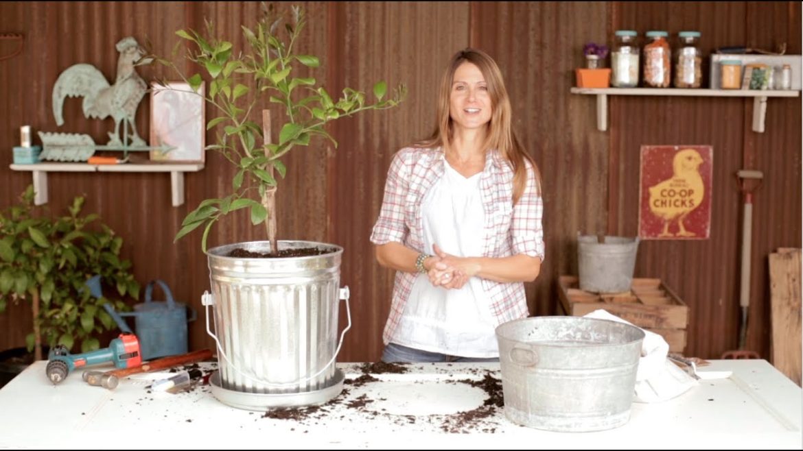 How to Make a Trash Can Planter | Container Gardening with Emily Murphy How to Make a Trash Can Planter | Container Gardening with Emily Murphy