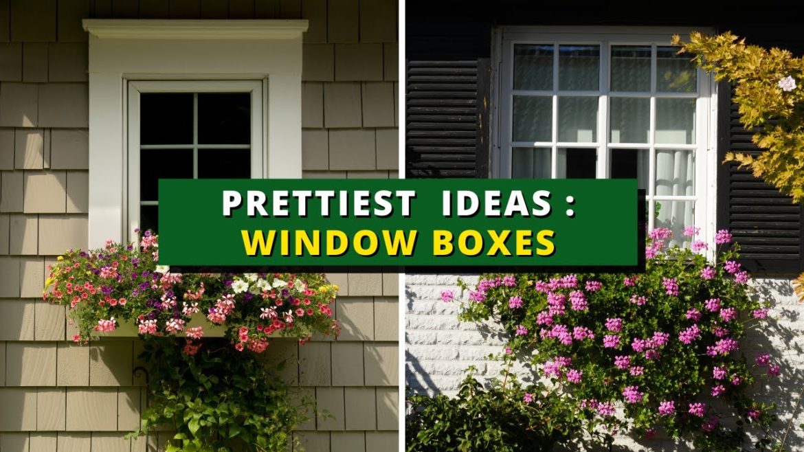 30+ Prettiest Window Boxes – Your Home Garden Ideas 30+ Prettiest Window Boxes - Your Home Garden Ideas