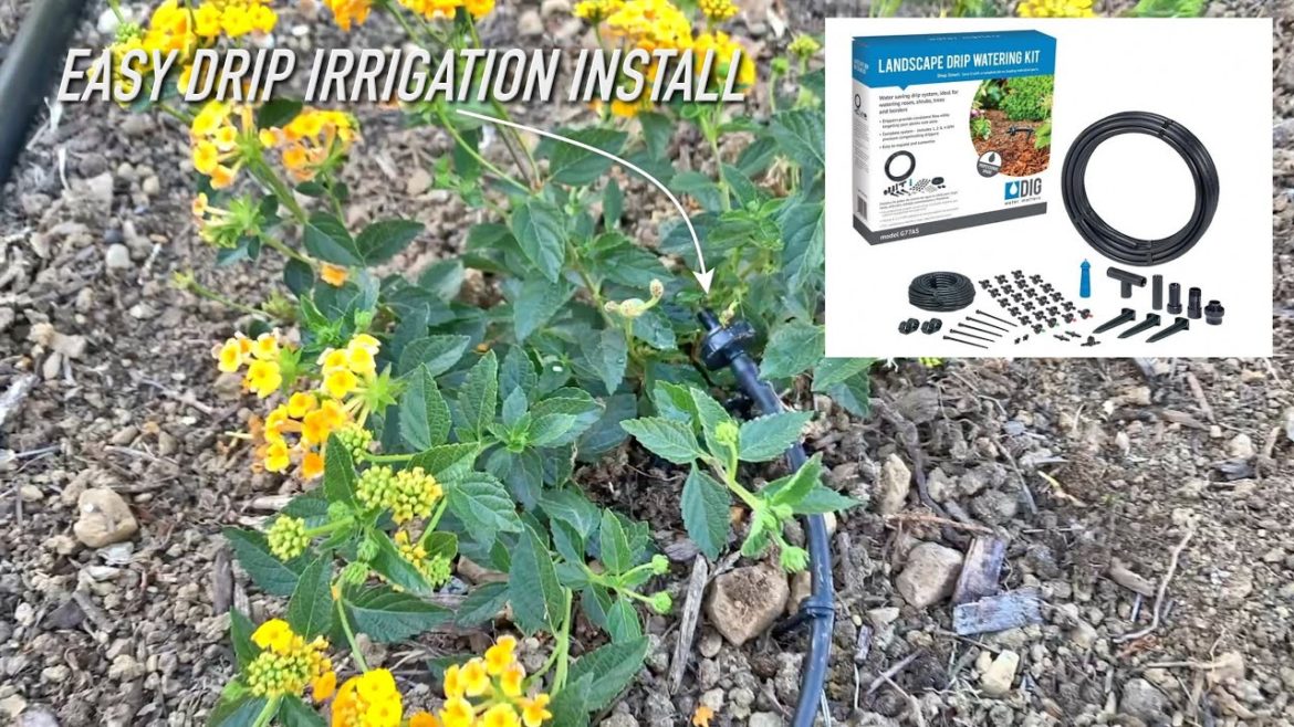 Dig Landscape Drip Irrigation Kit Front Yard Install