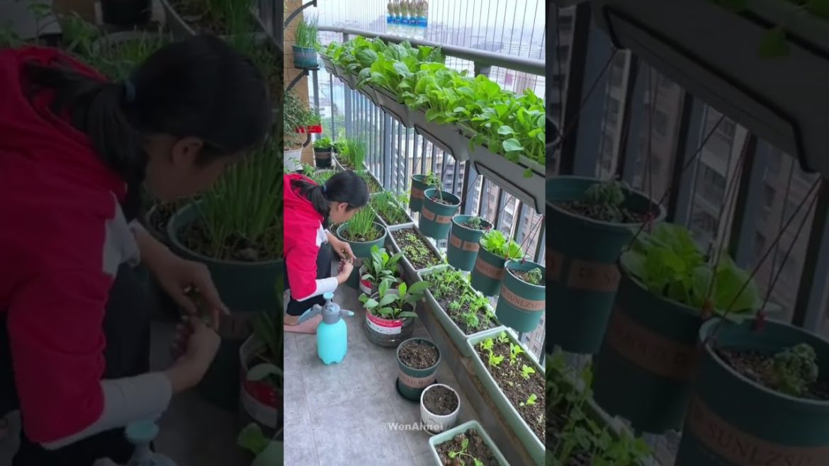 Beautiful Nature with Rural Life #shorts #naturalife #rurallife