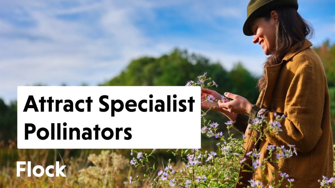 Are We SAVING the RIGHT BEES? Create a GARDEN For SPECIALIST POLLINATORS — Ep. 128 Are We SAVING the RIGHT BEES? Create a GARDEN For SPECIALIST POLLINATORS — Ep. 128