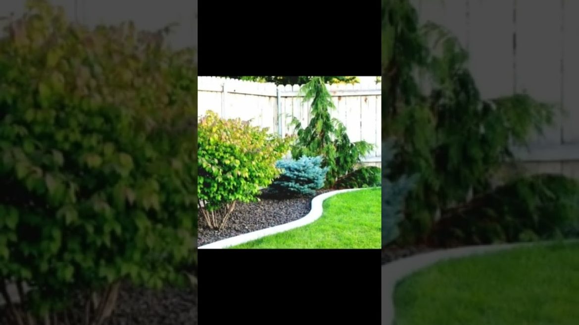Landscape Desing ideas Best ideas for garden and landscape #1335 #shorts 1 Landscape Desing ideas Best ideas for garden and landscape #1335 #shorts 1