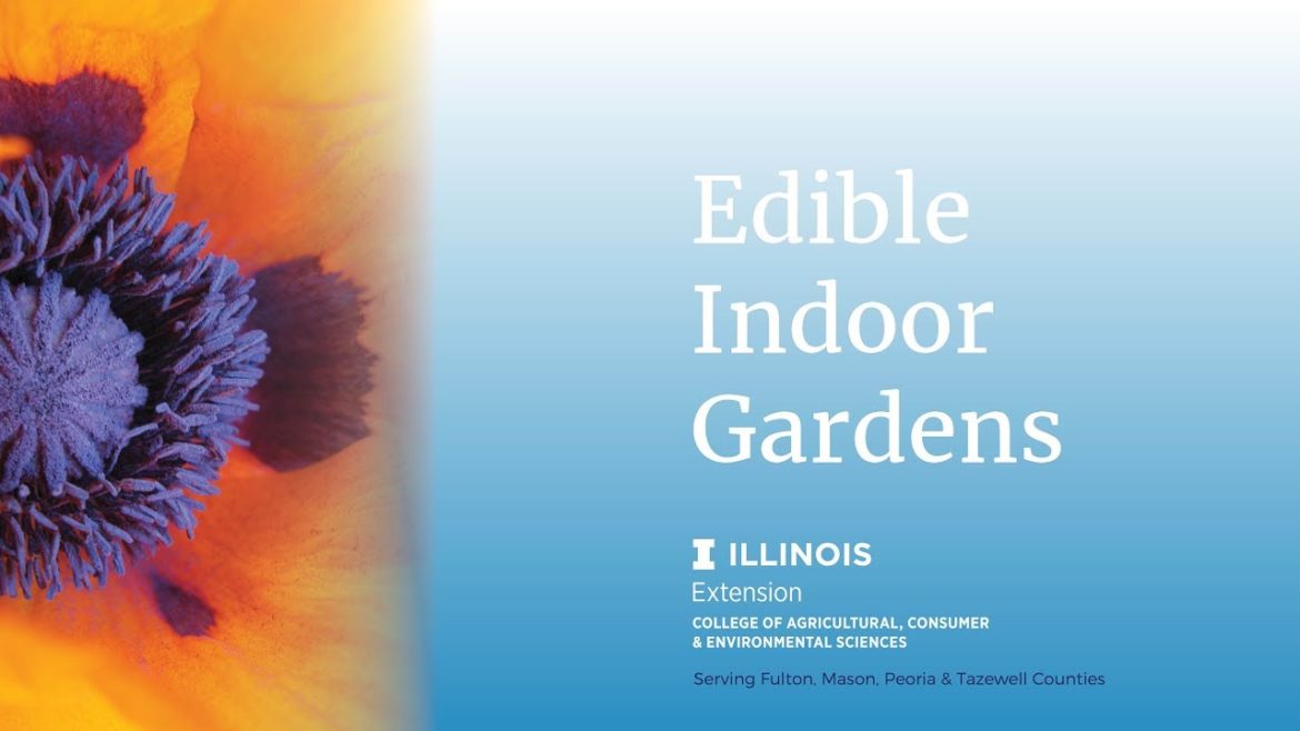 Indoor Edible Gardens Indoor Edible Gardens