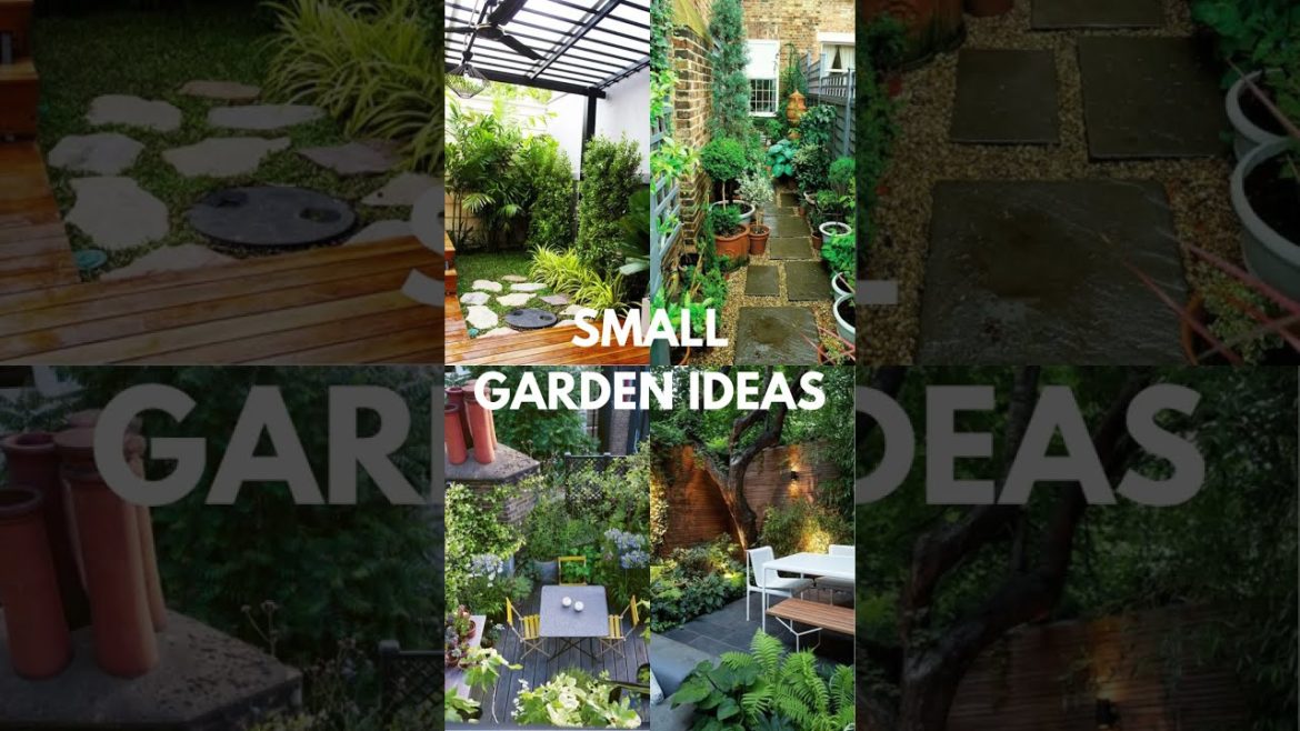 Small Garden Ideas #shorts #gardendesignideas #smallgarden #gardenideas #garden Small Garden Ideas #shorts #gardendesignideas #smallgarden #gardenideas #garden