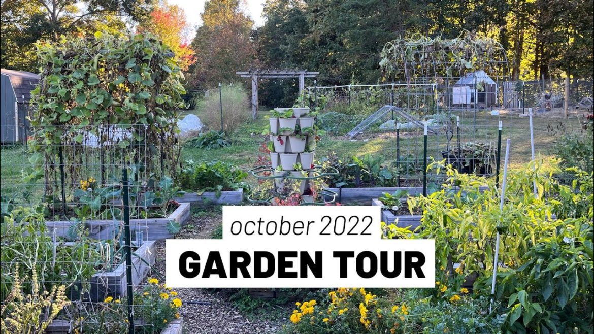 The frost is coming ❄️ October 2022 vegetable garden tour // GroundedHavenHomestead The frost is coming ❄️ October 2022 vegetable garden tour // GroundedHavenHomestead