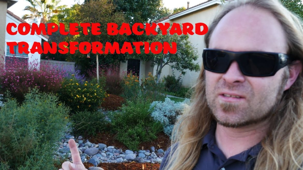 Complete Backyard Landscape Transformation
