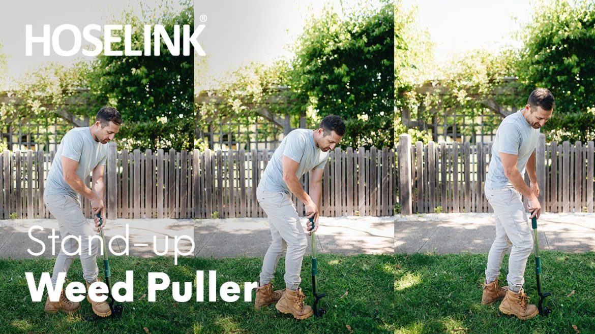 Hoselink's Stand-up Weed Puller with Ben Hayman | Gardening tips Hoselink's Stand-up Weed Puller with Ben Hayman | Gardening tips