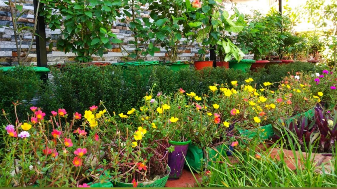 Sunday garden work // making ready my front yard garden for winter for heavy blooms