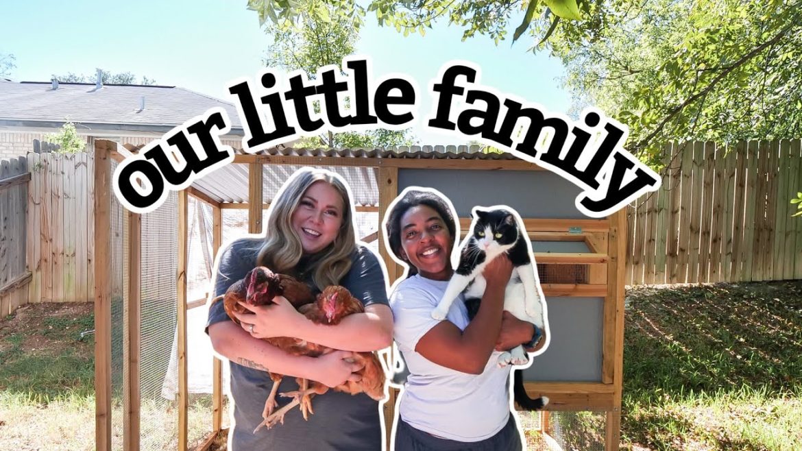 new home DIYs, installing the bidet, & getting settled | austin vlogger new home DIYs, installing the bidet, & getting settled | austin vlogger