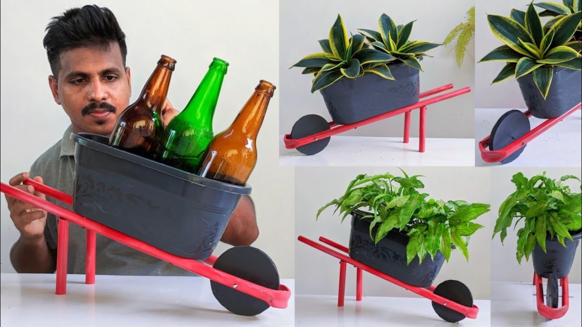 Great DIY Indoor Plant Planting Ideas / Indoor Plants Decoration / gardening tips Great DIY Indoor Plant Planting Ideas / Indoor Plants Decoration / gardening tips