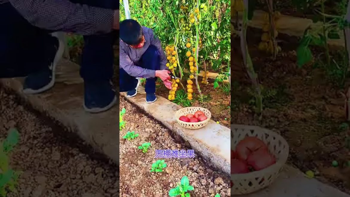 October Tips for garden  at home with me