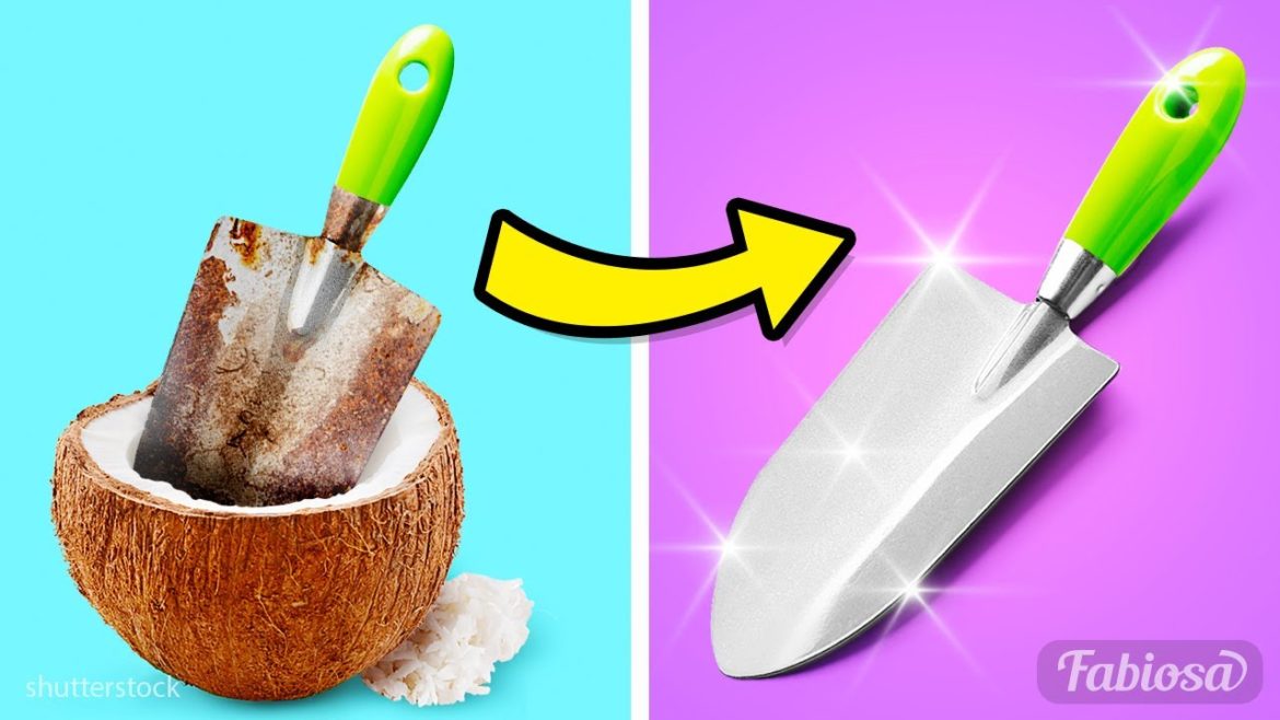 Quick gardening tips: How to clean gardening tools in no time