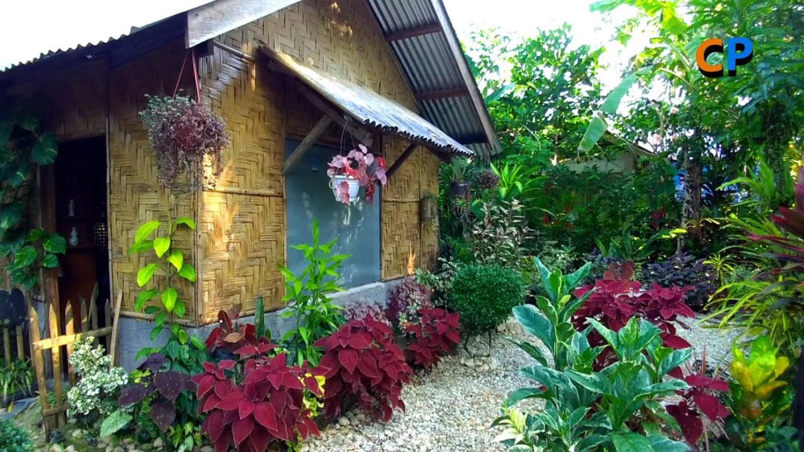 NEW PLANTS ARRANGEMENTS IN MY FRONT YARD GARDEN NEW PLANTS ARRANGEMENTS IN MY FRONT YARD GARDEN