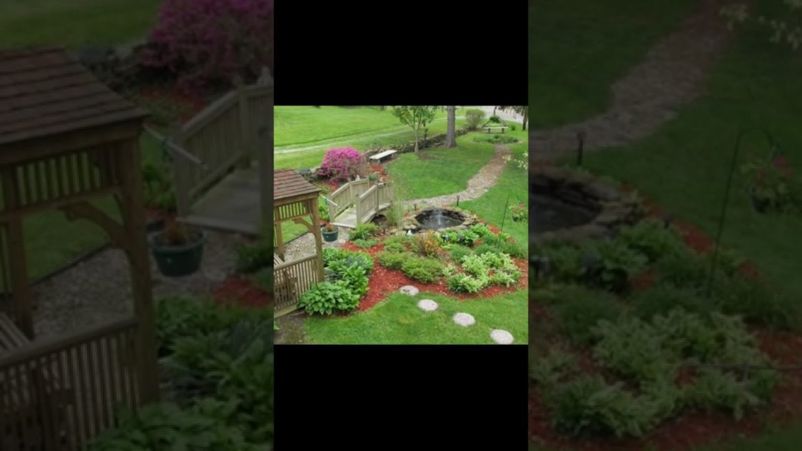 Landscape Desing ideas Best ideas for garden and landscape #1335 #shorts 7 Landscape Desing ideas Best ideas for garden and landscape #1335 #shorts 7