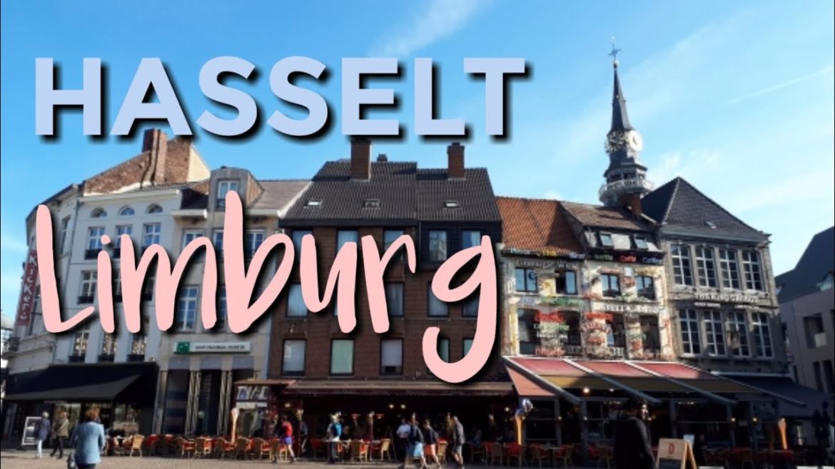 Hasselt Travel Vlog: Limburg Belgium || Nature Lover(Japanese Garden)||Holiday Inn Express Hotel