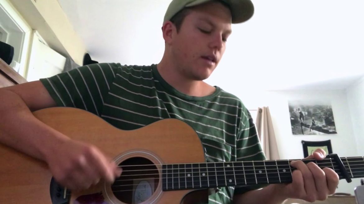 garden in the backyard