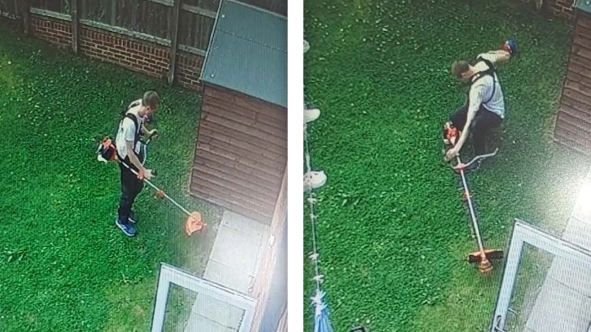 Gardening Gone Wrong