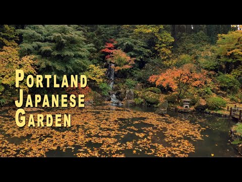 Portland Japanese Garden. Virtual Garden Tour. Fall Color Watch. Portland Japanese Garden. Virtual Garden Tour. Fall Color Watch.