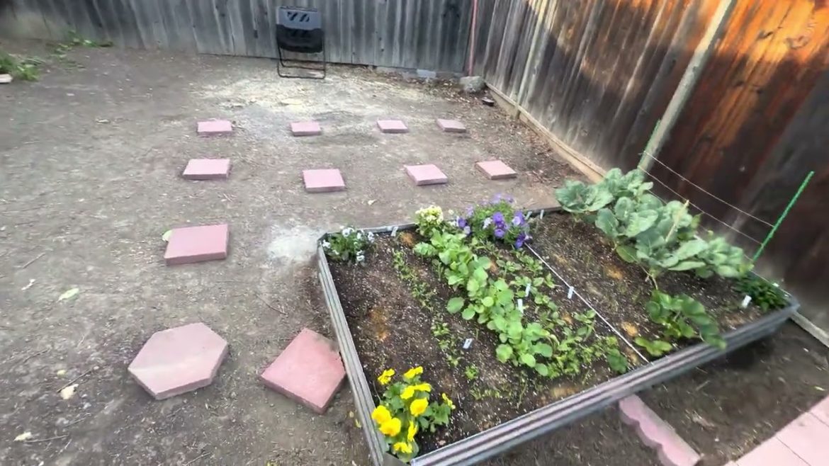 Replanning the backyard garden!