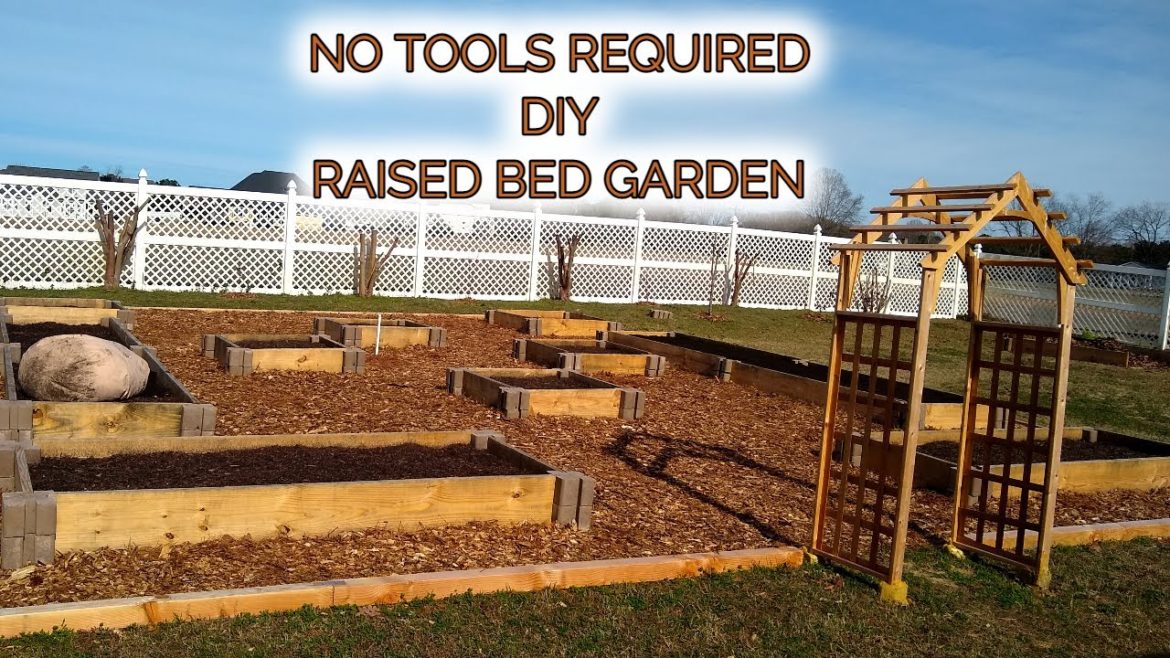 How to Build a Raised Garden Bed | Step-By-Step Guide | Top 10 Mistakes To Avoid!