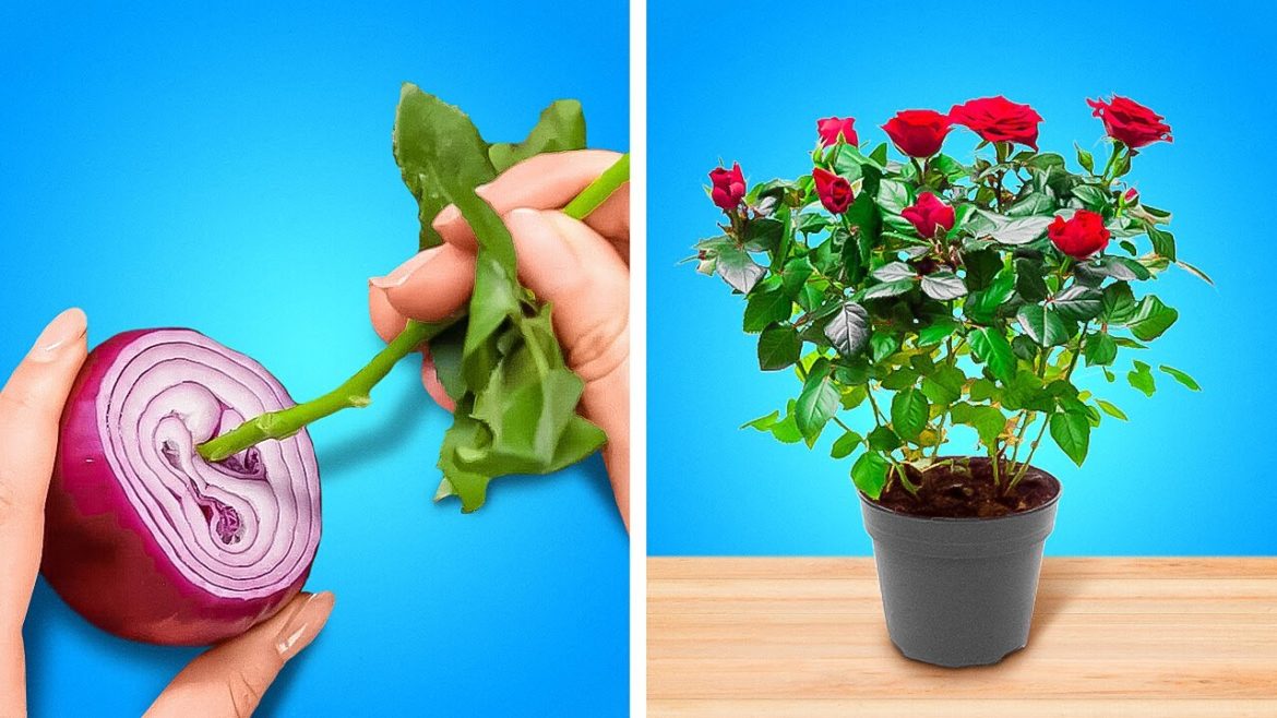 Top Gardening Secrets You Need To Know || Easy Planting Hacks 🌳 Top Gardening Secrets You Need To Know || Easy Planting Hacks 🌳