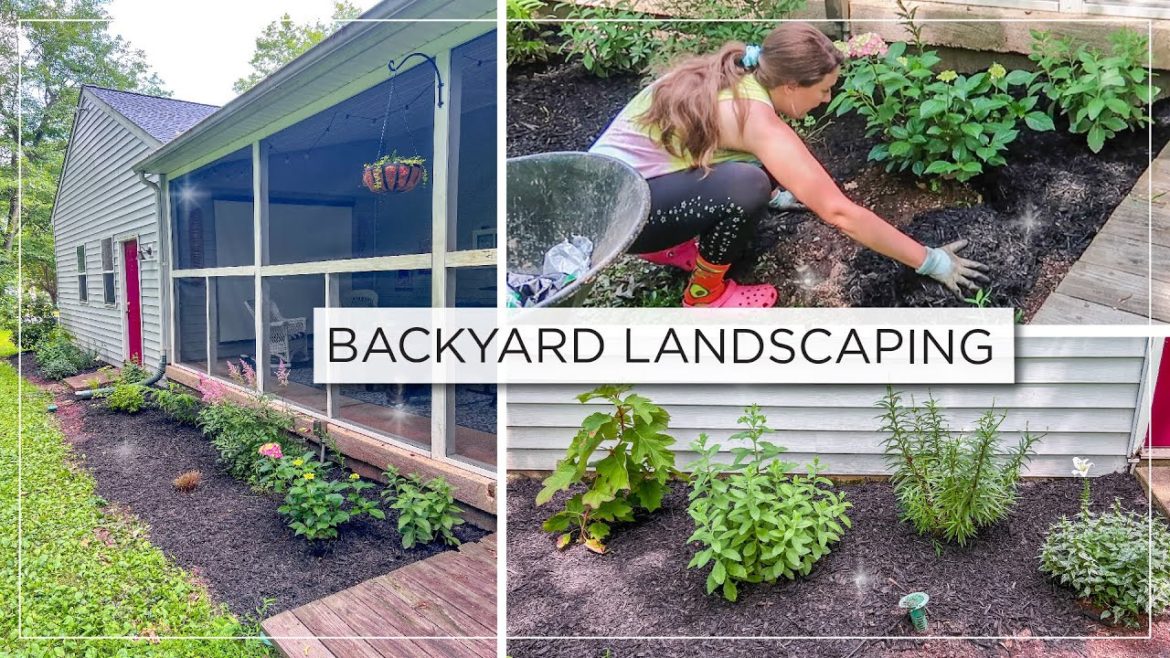 Garden with Me | Backyard Landscaping | New Hydrangeas + Shade Perennials Garden with Me | Backyard Landscaping | New Hydrangeas + Shade Perennials
