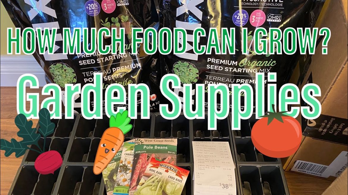HOW MUCH FOOD CAN I GROW? | Garden Supplies HOW MUCH FOOD CAN I GROW? | Garden Supplies
