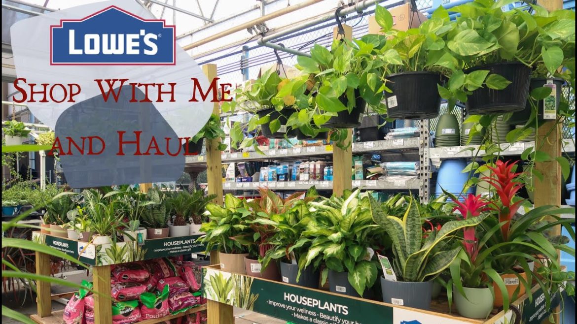 Lowes Plant Shopping and Haul | Clearance Plants
