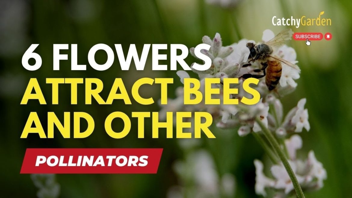 6 Beautiful Flowers That Attract Bees and Other Pollinators 🌻🐝🌸 // SECRET GARDEN